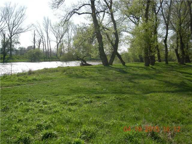 arčilend
